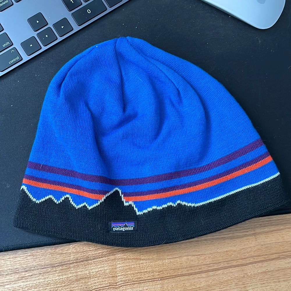 Patagonia Beanie Winter Hat